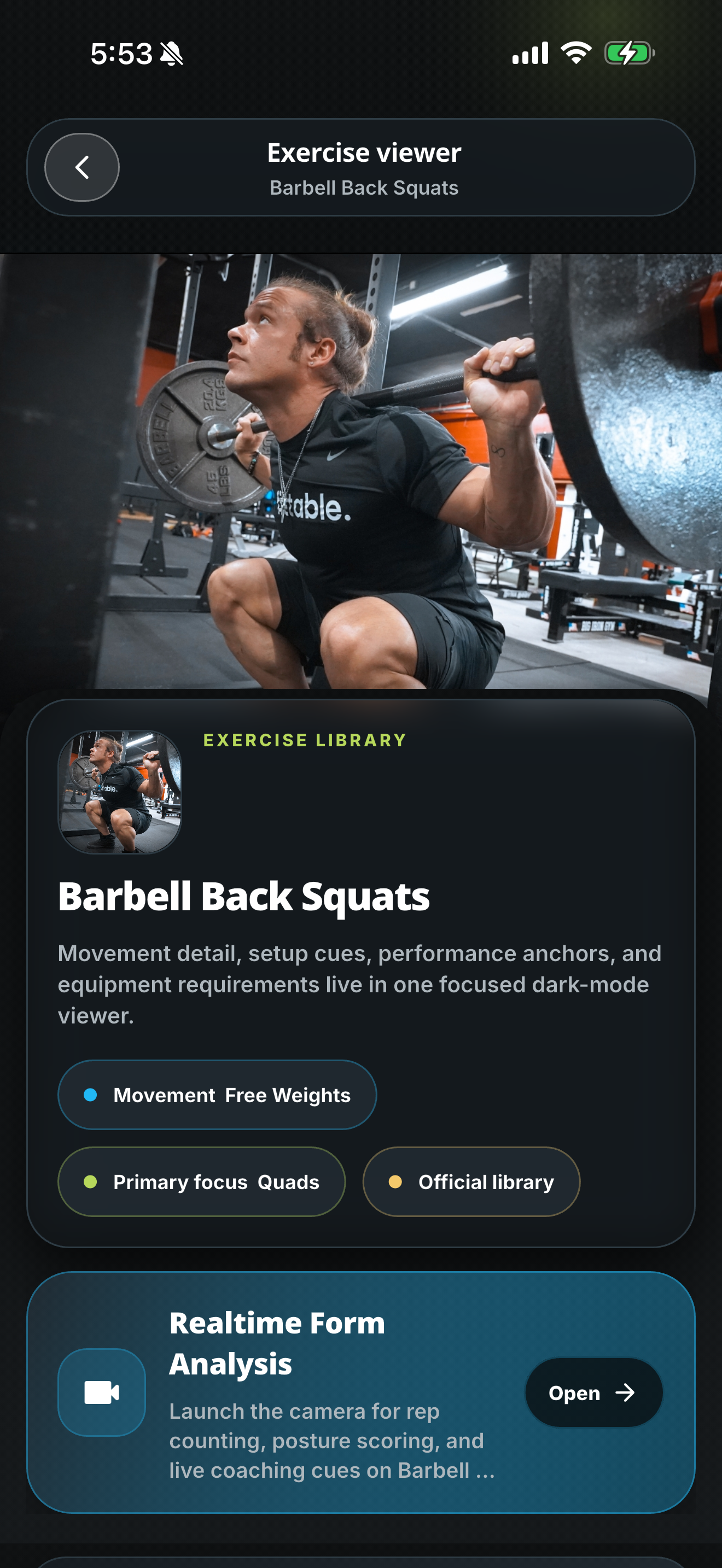 Fittable exercise viewer with real-time form analysis
